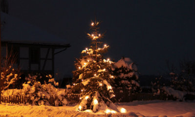 Weihnachtsbaum-Ruederswil