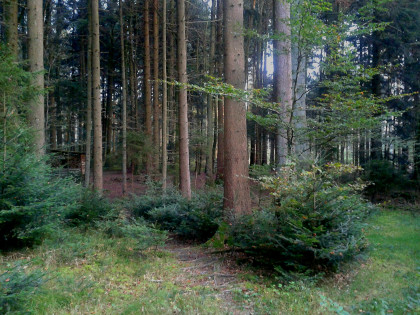 Heidenmoos Heidenmoos