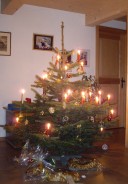 Weihnachtsbaum