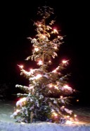 Weihnachtsbaum Rüderswil