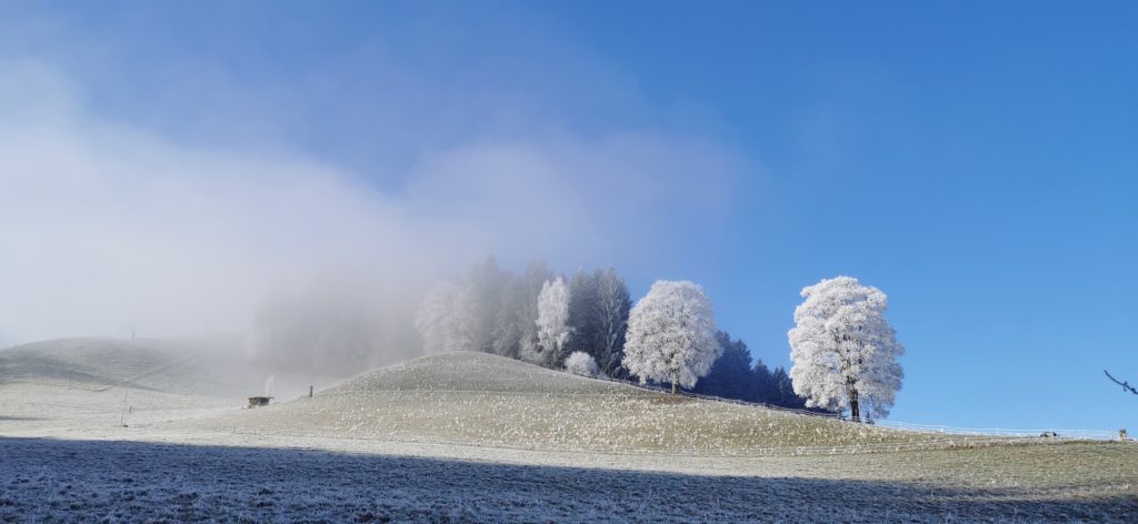 Winter auf dem Steinberg