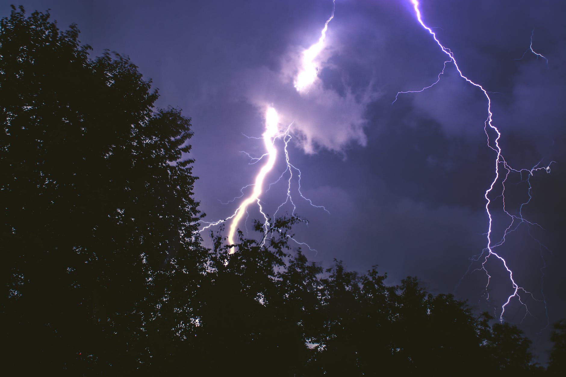 lightning strike on forest during night time